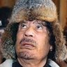Главный по Тарелочкам